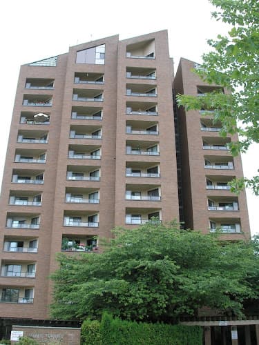 Maple Towers - Photo 1