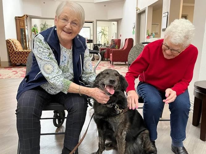 DNA's Helping Hands Companion Care - Photo 1