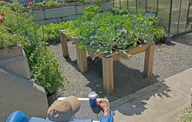 Evergreen Seniors Home Inc. - Photo 1