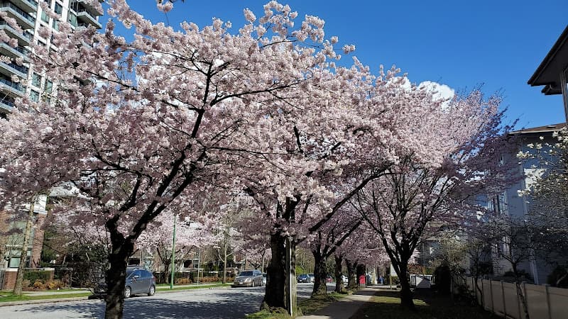Medina Housing Co-Operative - Photo 1