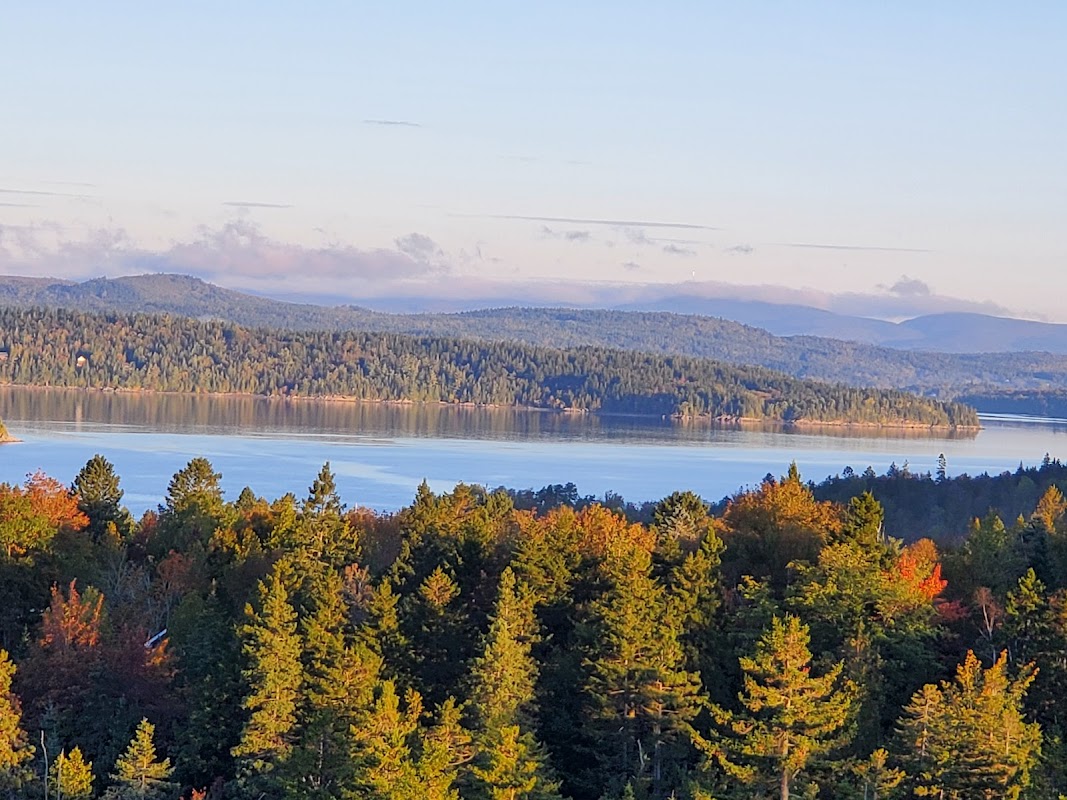 Village View Apartments grounds